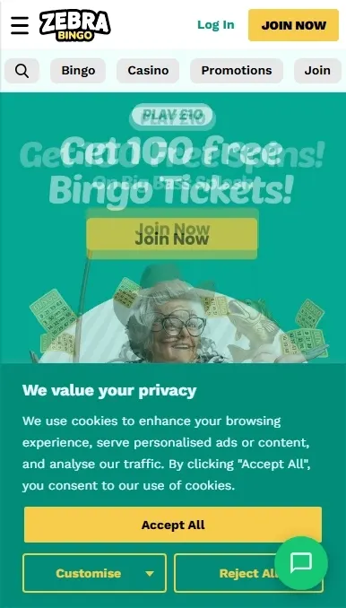 ZebraBingo Casino
